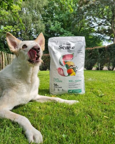 Dibaq Sense Duck & Turkey (light/senior)