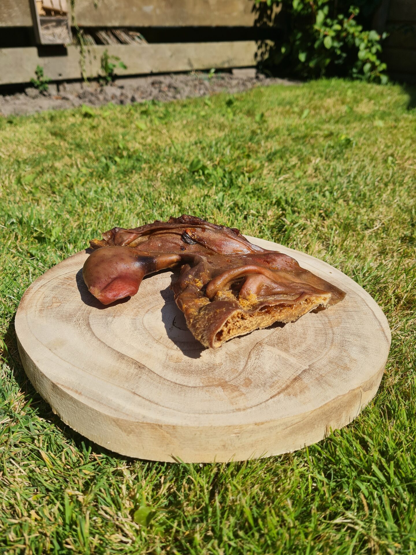 Paardensnuit - Afbeelding 2