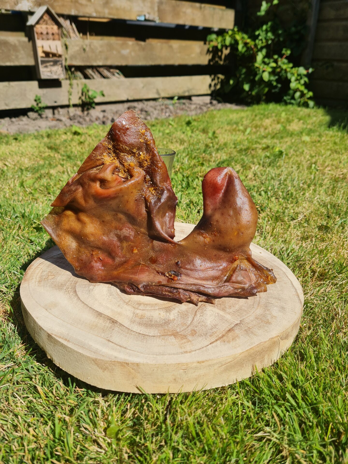 Paardensnuit