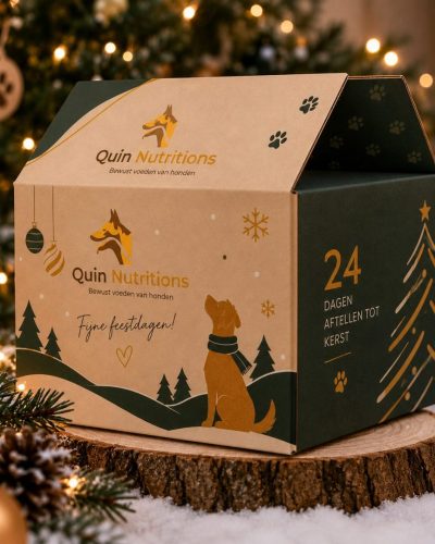 Adventskalender 2026