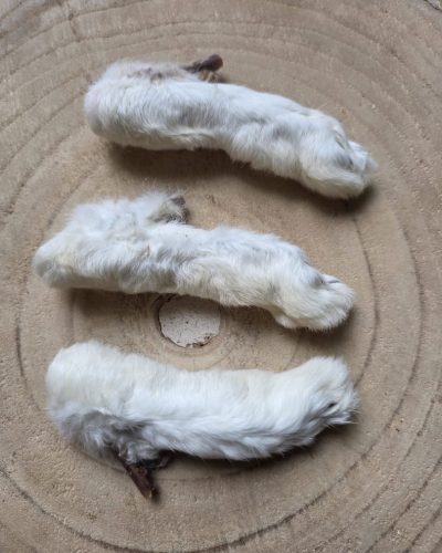 Konijnenpootjes met haar