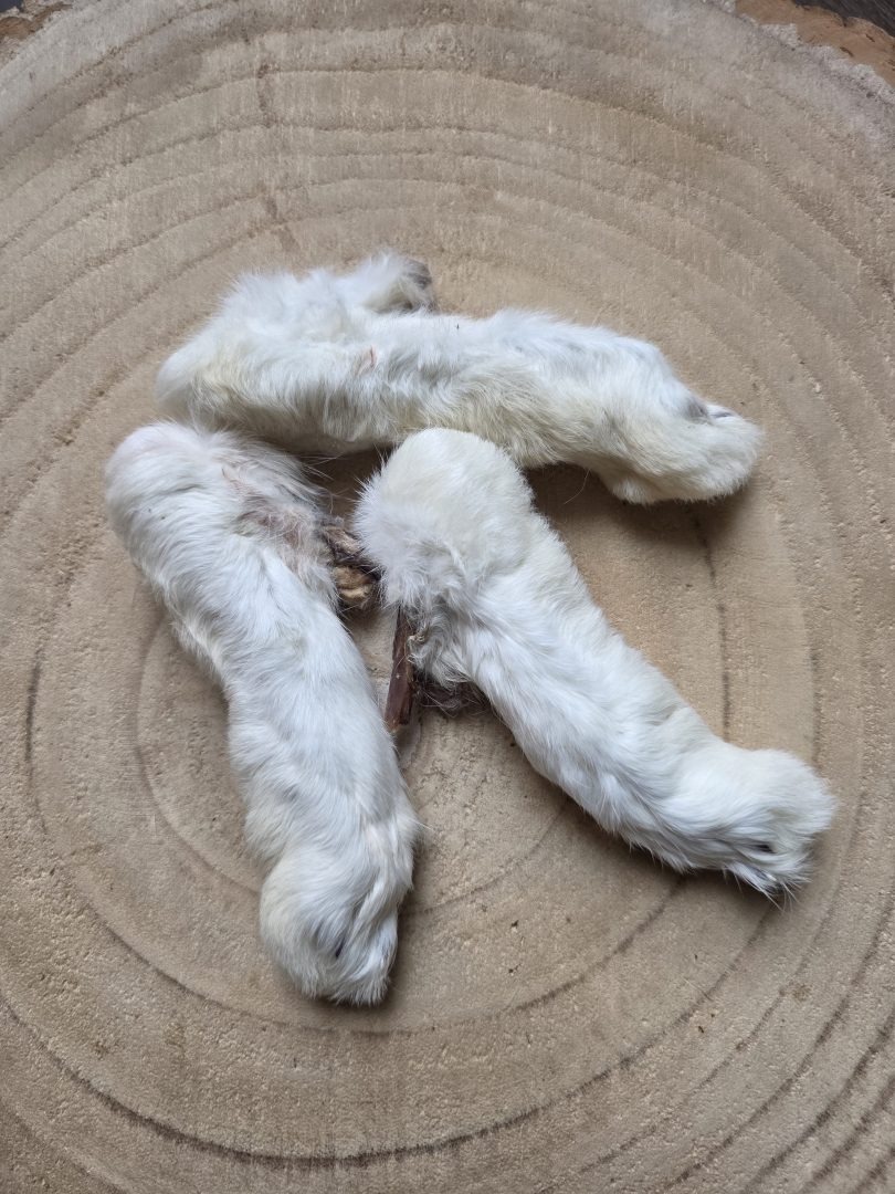 konijnenpootjes met haar - Afbeelding 2