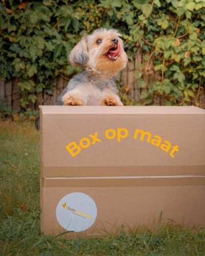 Box op maat